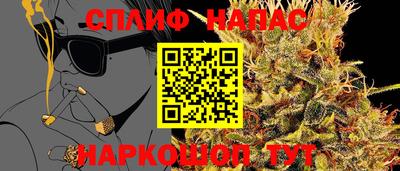 мдпв Татарск