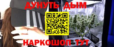 мдпв Татарск