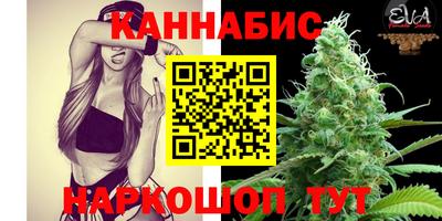мдпв Татарск